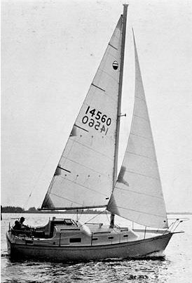 BOMBAY CLIPPER 31