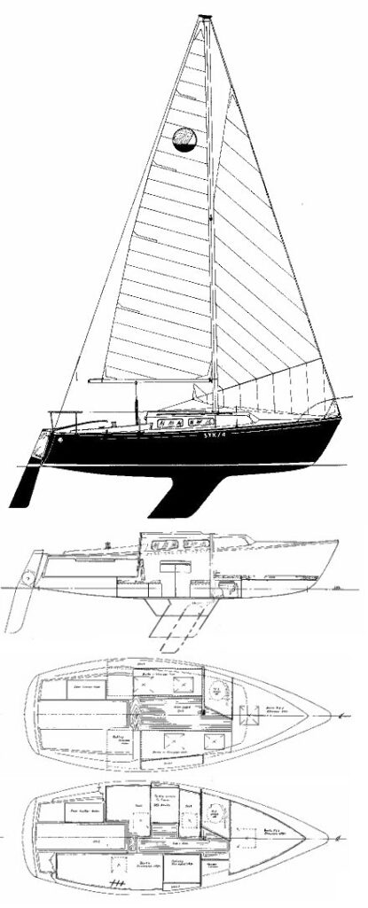 SOUTHERN 21 - Drawing