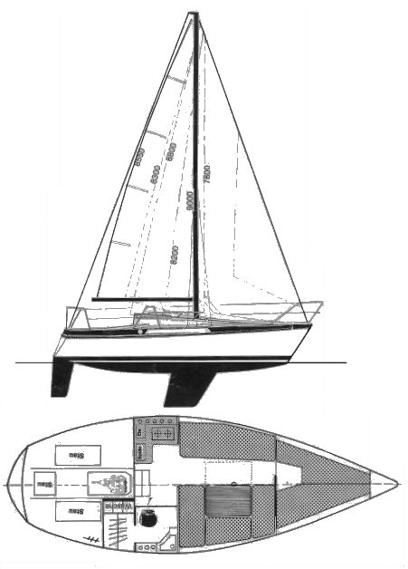 BAVARIA 770 - Drawing