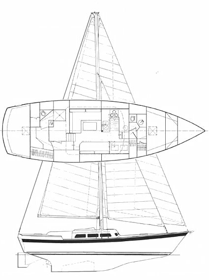 WELLINGTON 44 - Drawing