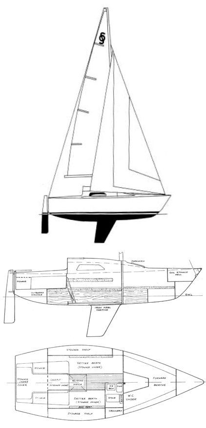 SONATA (THOMAS) - Drawing